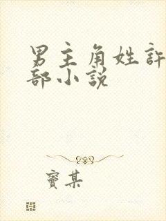 男主角姓许的全部小说