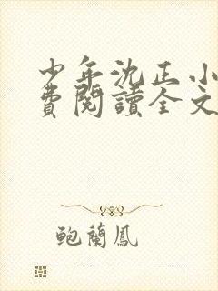 少年沈正小说免费阅读全文