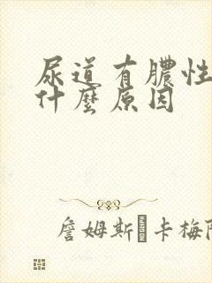 尿道有脓性液体什么原因