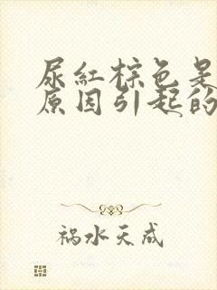 尿红棕色是什么原因引起的