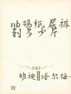 nb码纸尿裤穿到多少斤