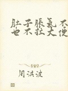 肚子胀气不放屁也不拉大便