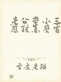 老公带小三旅游应该怎么处理