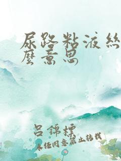 尿路粘液丝高什么意思