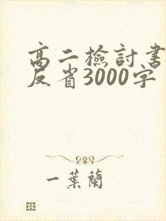 高二检讨书自我反省3000字