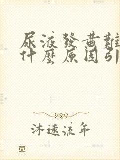 尿液发黄难闻是什么原因引起的女性