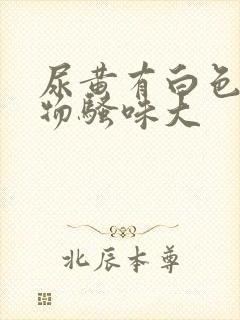 尿黄有白色沉淀物骚味大