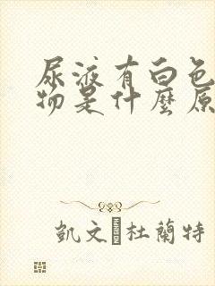 尿液有白色浑浊物是什么原因