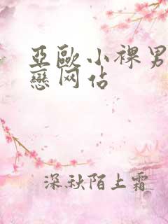 亚欧小裸男同性恋网站