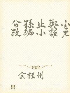 公孙止与小龙女改编小说免费阅读