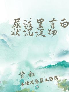 尿液里有白色絮状沉淀物