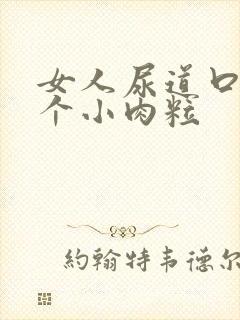 女人尿道口有两个小肉粒