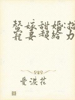 替嫁甜婚:总裁宠妻超给力