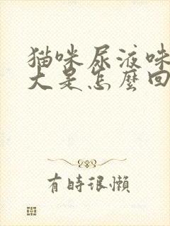 猫咪尿液味道很大是怎么回事