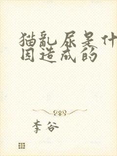 猫乱尿是什么原因造成的