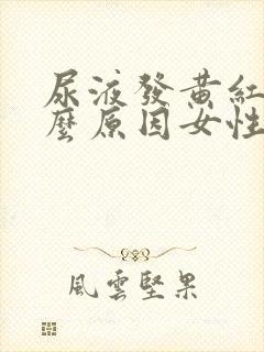 尿液发黄红是什么原因女性