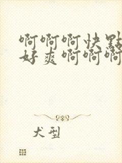 啊啊啊快点用力好爽啊啊啊好舒服