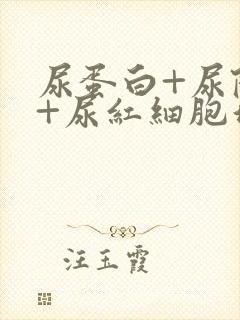 尿蛋白+尿隐血+尿红细胞增多