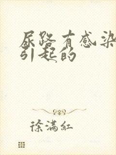 尿路有感染是咋引起的