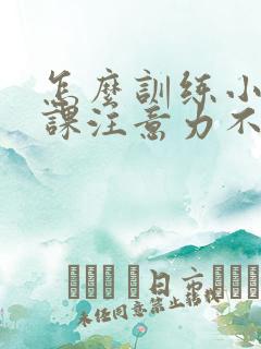 怎么训练小孩上课注意力不集中