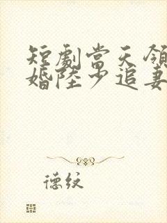 短剧当天领证闪婚陆少追妻忙全集免费观看