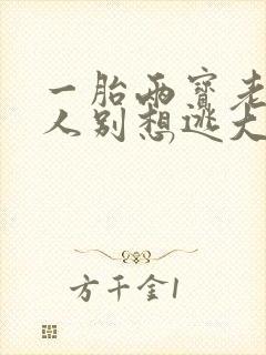 一胎两宝老婆大人别想逃大结局