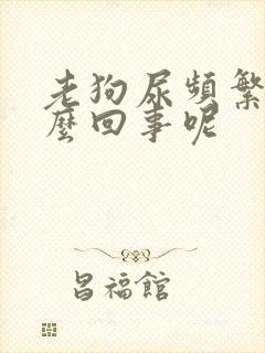 老狗尿频繁是怎么回事呢