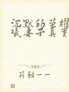 沉默的荣耀中聂曦妻子真实结局