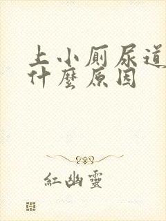 上小厕尿道刺痛什么原因