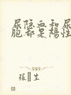 尿隐血和尿白细胞都是阳性