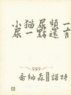 小猫尿频一次只尿一点还有点发红