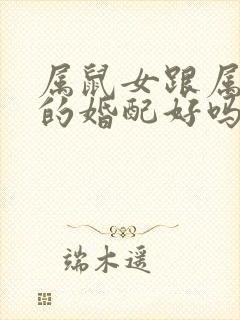 属鼠女跟属兔男的婚配好吗