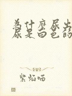 为什么尿出来的尿是白色的