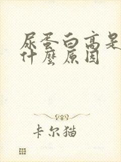 尿蛋白高是因为什么原因