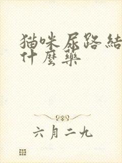 猫咪尿路结晶吃什么药