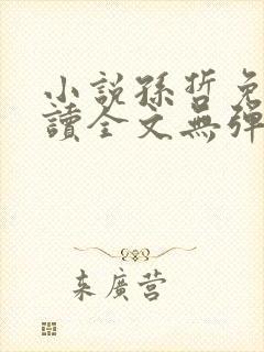 小说孙哲免费阅读全文无弹窗