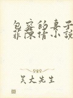 包容的妻子沈菲菲陈倩小说阅读