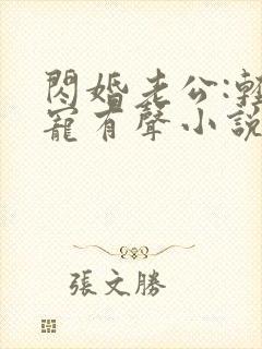 闪婚老公:轻点宠有声小说完整