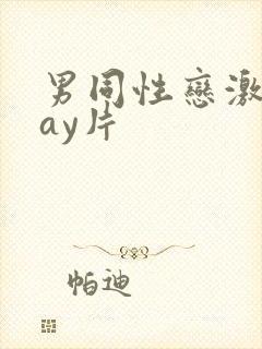 男同性恋激情gay片