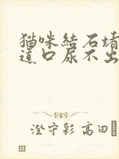 猫咪结石堵住尿道口尿不出来怎么办