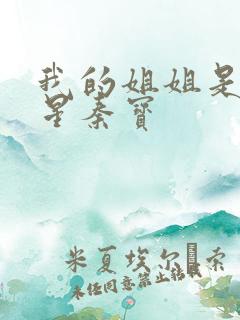 我的姐姐是大明星秦宝