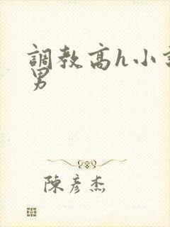 调教高h小说男男