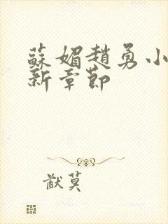 苏媚赵勇小说最新章节