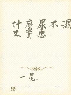 什么尿不湿好用又实惠