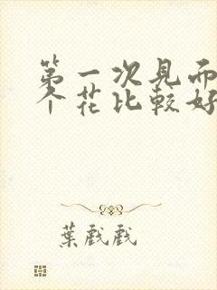 第一次见面送那个花比较好