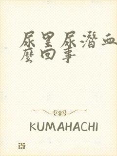 尿里尿潜血是怎么回事