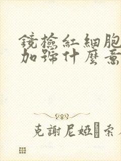 镜检红细胞4个加号什么意思