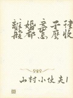 离婚案子律师一般都怎么收费