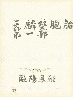 天麟双胞胎番外第一部