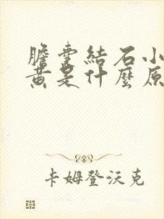 胆囊结石小便发黄是什么原因